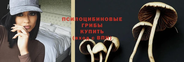 прущая мука Новодвинск