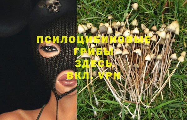 MDMA Premium VHQ Новокубанск