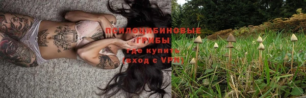 прущая мука Новодвинск