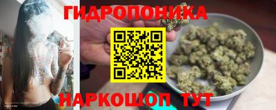 ешки Гай