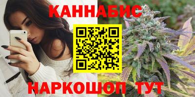 ешки Гай