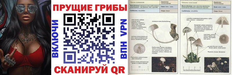 Галлюциногенные грибы ЛСД Каспийск