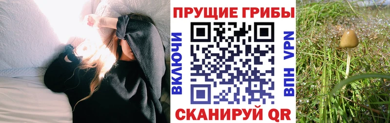 KRAKEN сайт  Каспийск  Псилоцибиновые грибы мухоморы 