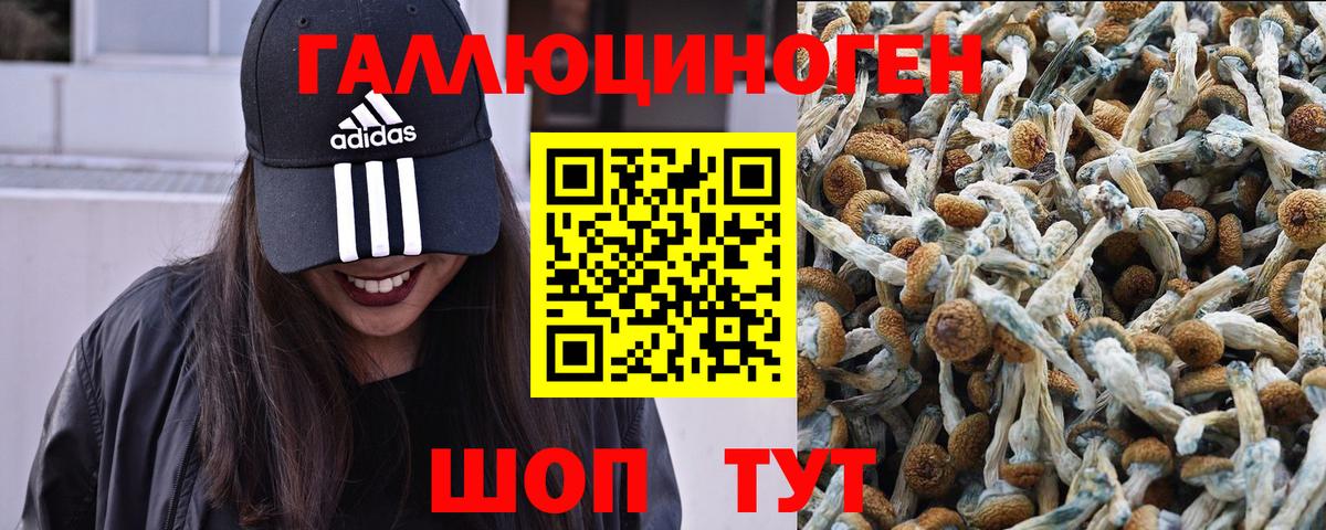 Галлюциногенные грибы мицелий  Галлюциногенные грибы мицелий  Вход с VPN  Каспийск 