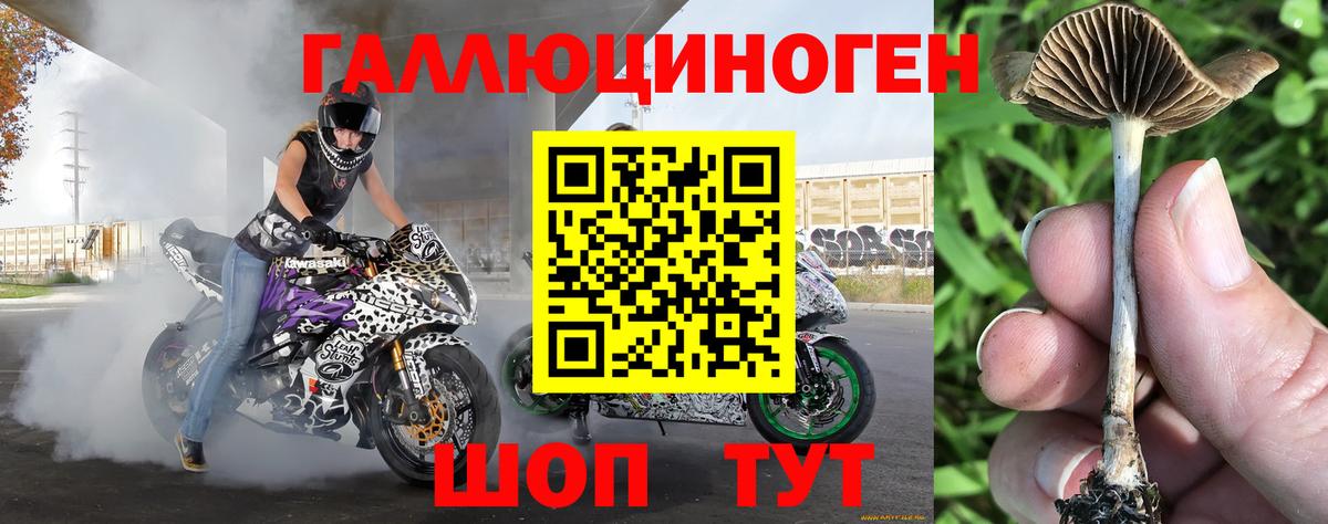 Галлюциногенные грибы Psilocybine cubensis  закладки  Каспийск 