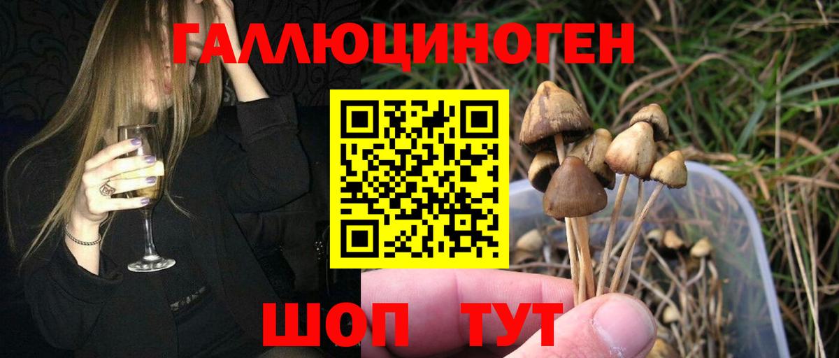 МЕТАДОН Каспийск